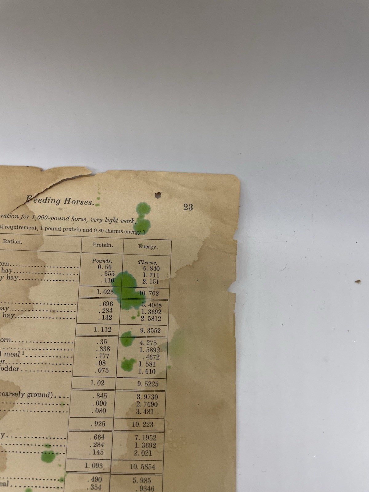 1916 US Department of Agriculture Farmers Bulletin #1030 Feeding Horses