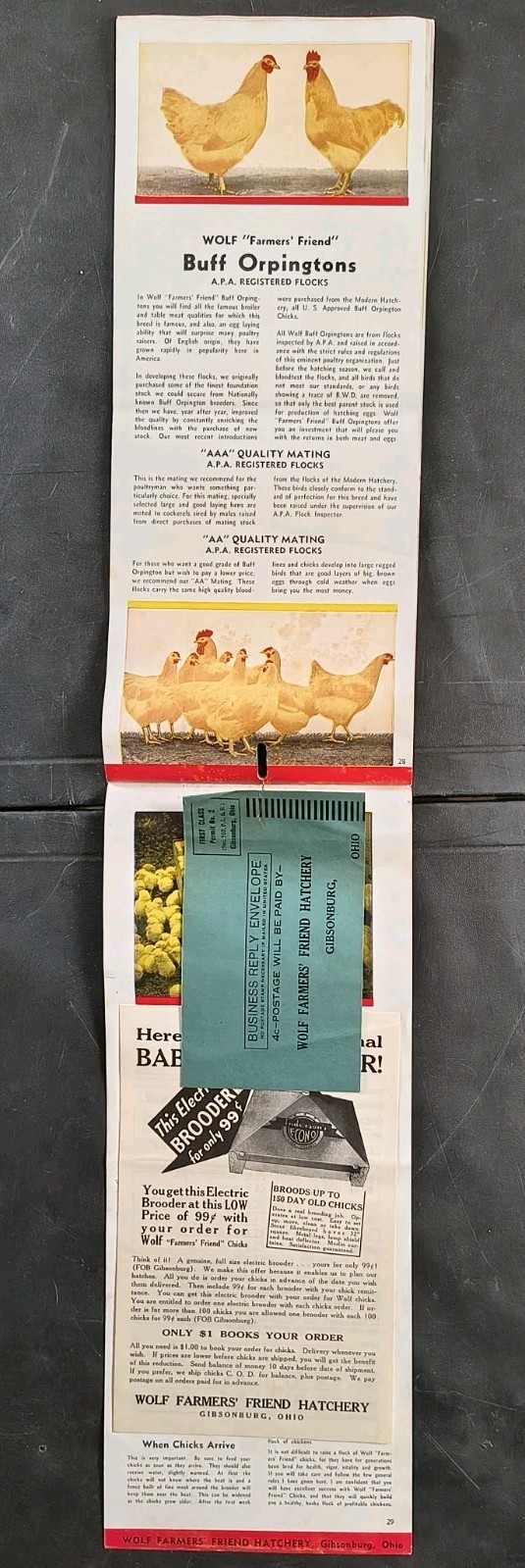 1941 Wolf Baby Chicks Catalog Calendar Sale Brochure Chicken Farming Advertising