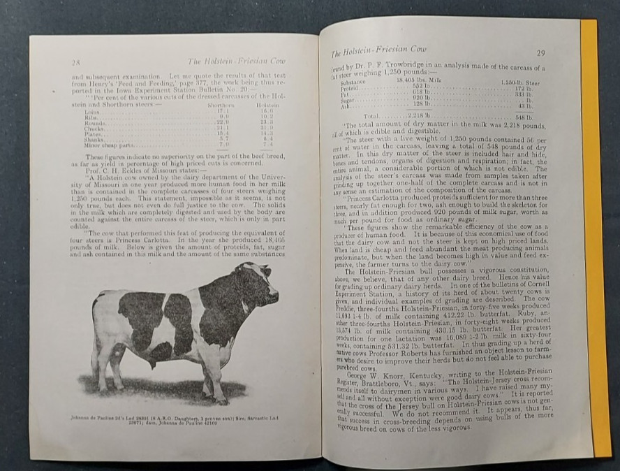 1913 Bulletin Holstein Friesian Association America Brattleboro Vermont Cow