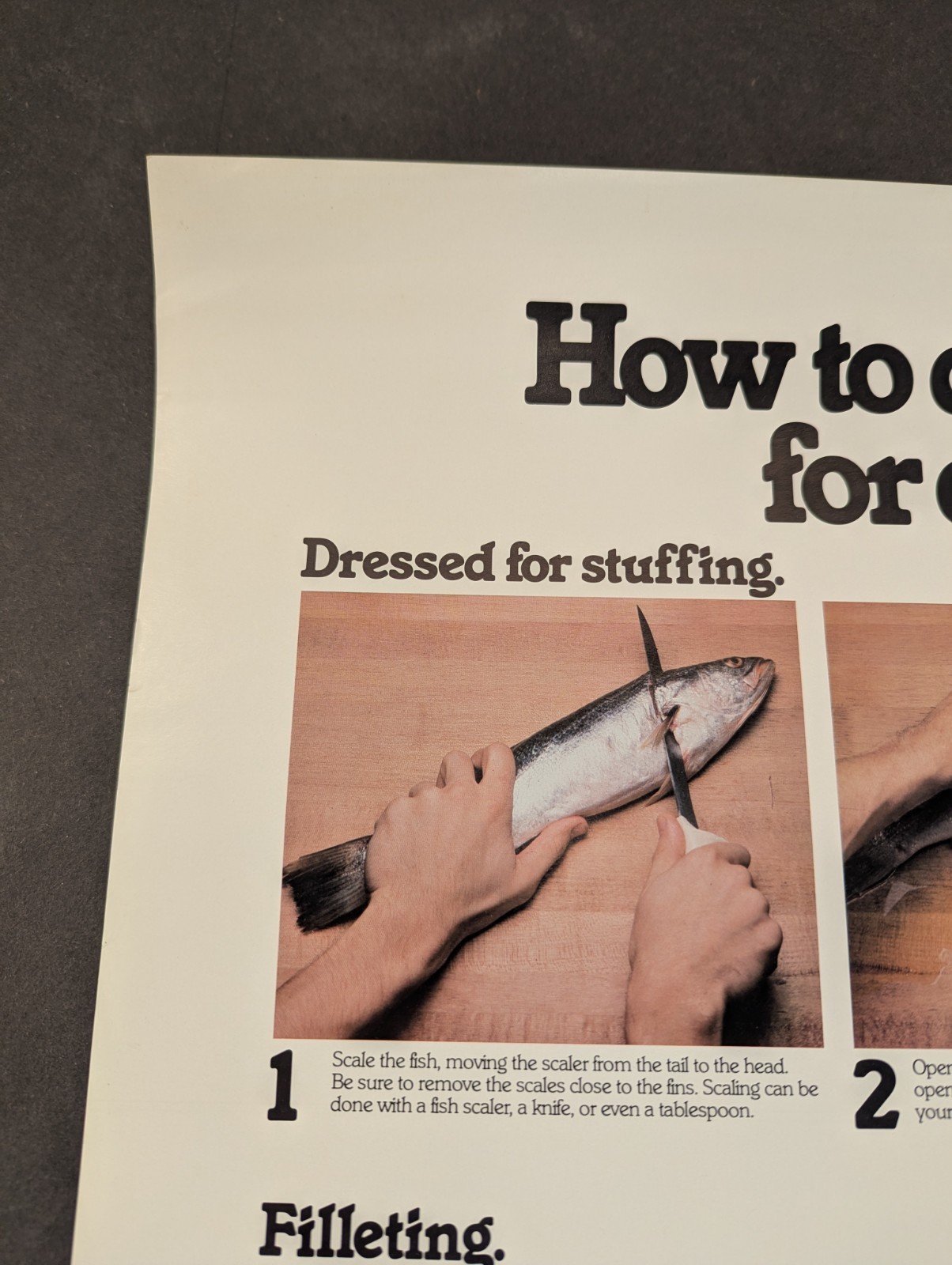Mid-Atlantic Fisheries Development Foundation How to Dress a Fish Dinner Poster