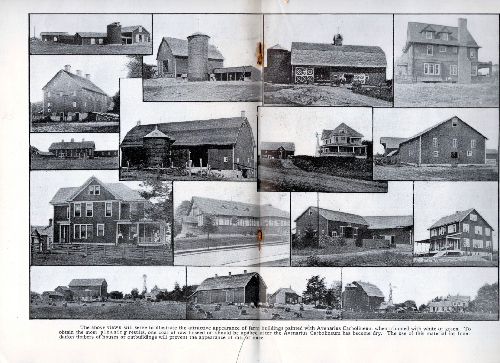 1910 Carbolineum Wood Preservation Bulletin 33 Farm and Home Issues Booklet