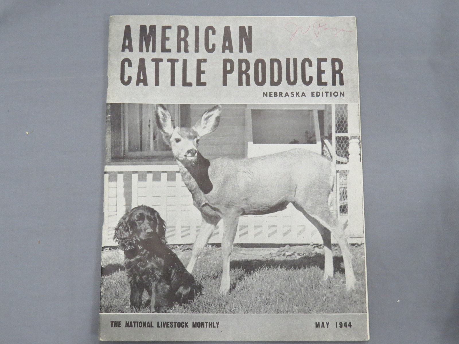 Vintage AMERICAN CATTLE PRODUCER Nebraska Edition Magazine 1944 May Hereford