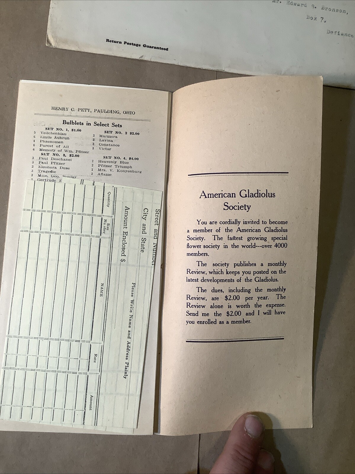 1928 Gladiola Pricing List Henry Petty Paulding Ohio INV-P0372