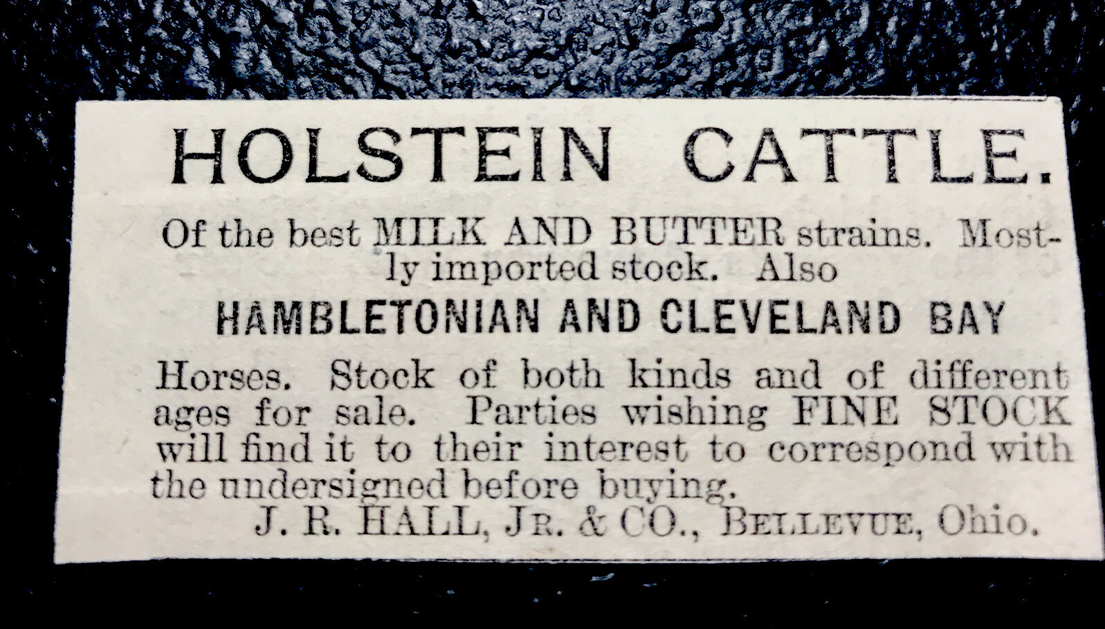 1886 Hall Cattle Cow Farm Advertising – Bellevue – Ohio