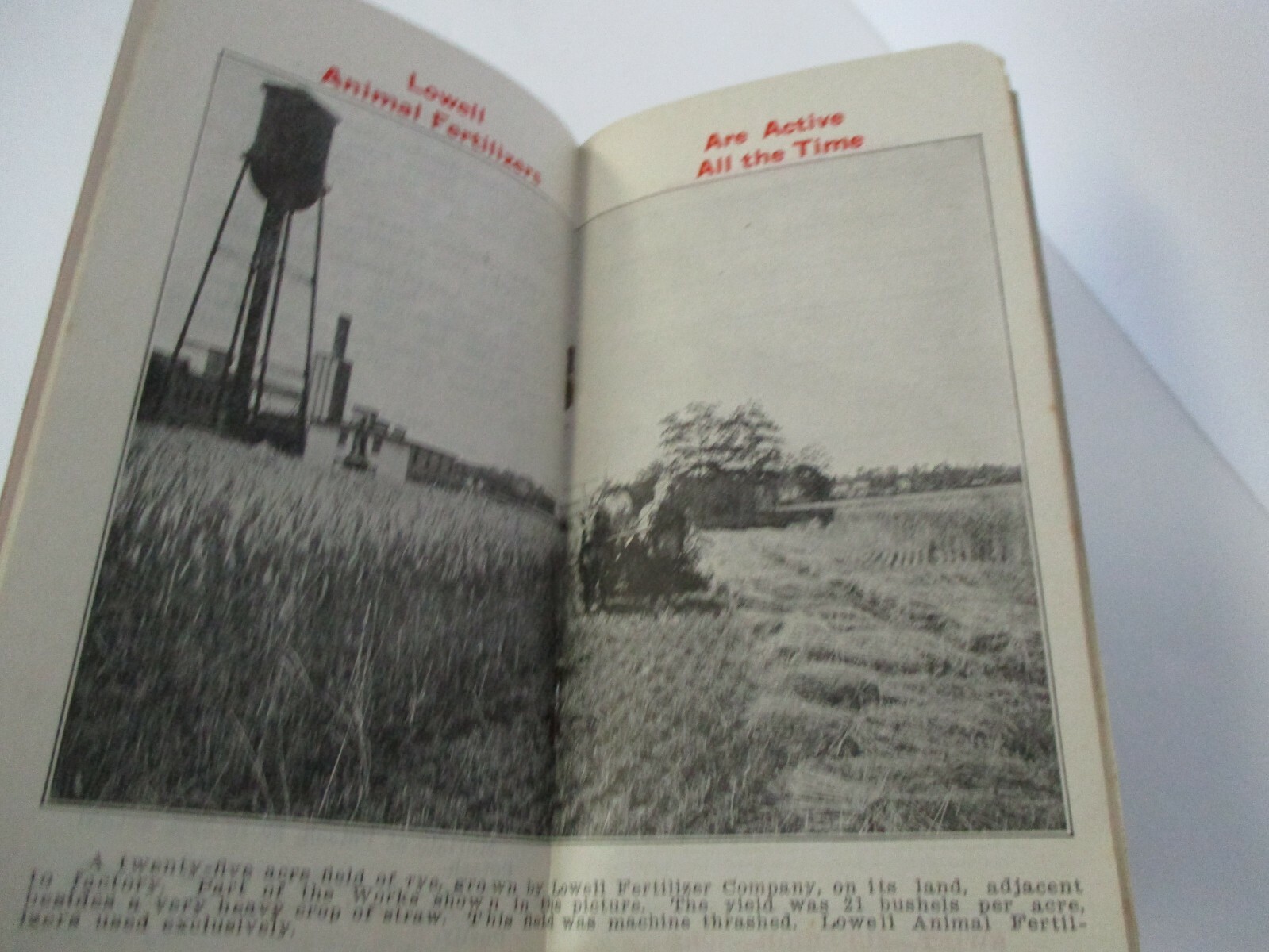 LOWELL ANIMAL FERTILIZERS Advertising Memo Booklet, 1915-1916