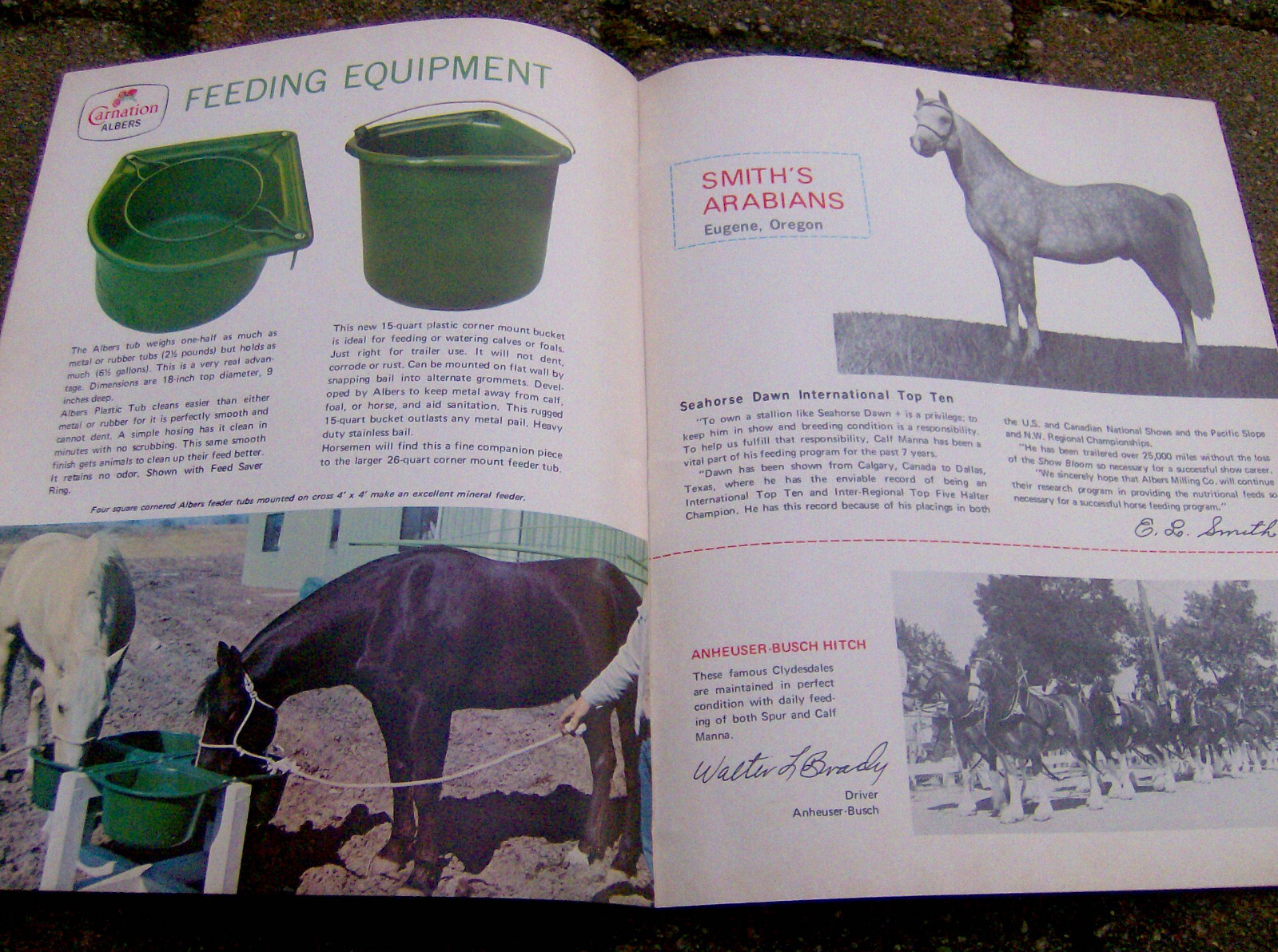 vintage 1969 CARNATION ALBERS Horse food/etc catalog veterinary equestrian farm