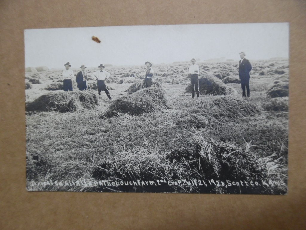 1920 Alfalfa Farm Land Sale Promoter Real Photo Postcard Scott County Kansas