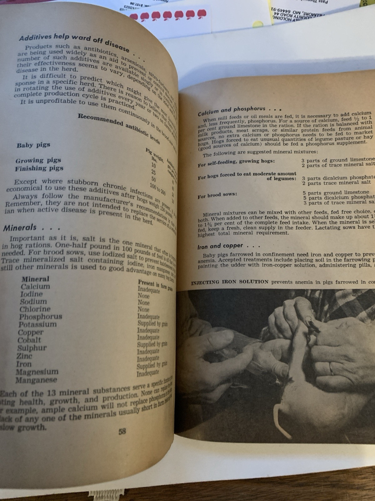 1963 The Hoard&rsquo;s Dairyman Feed Guide Vintage Cattle Poultry Horse Swine Farm