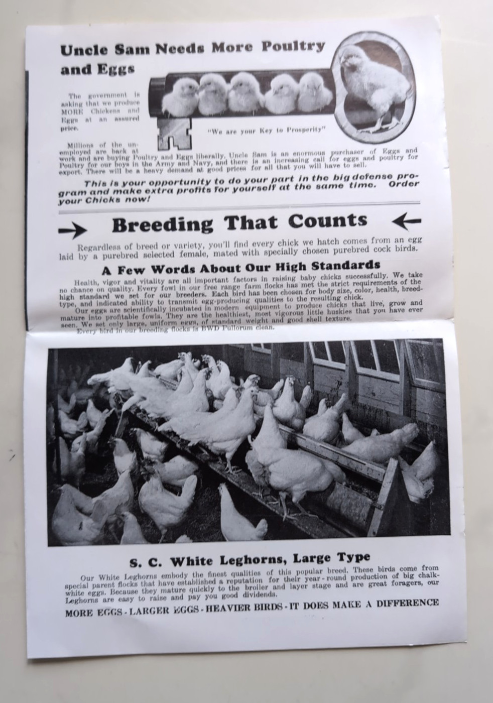 Vtg Ekola Bros. Poultry Farm & Hatchery Price Brochure Crystal Falls, Michigan