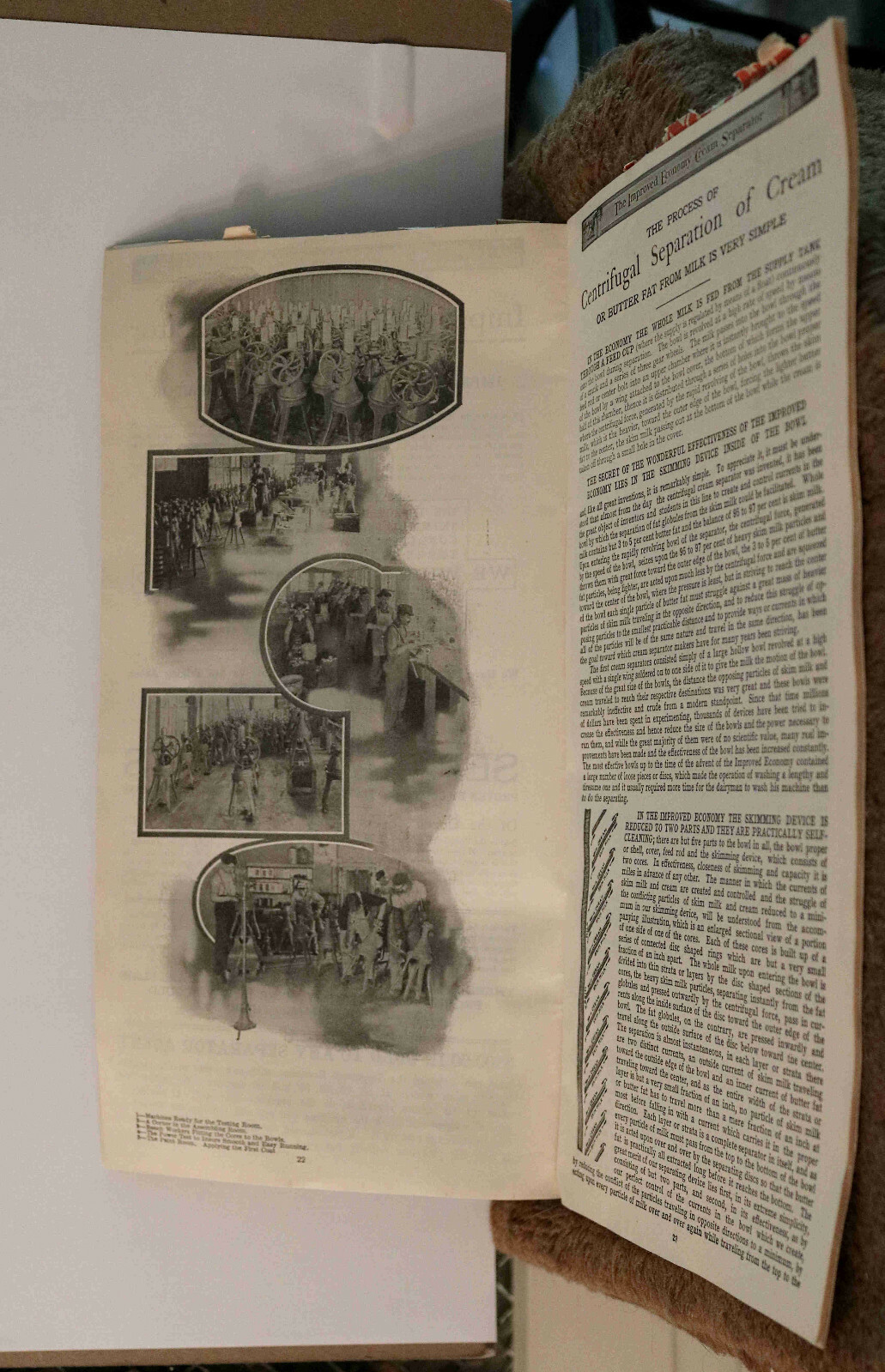 Antique 1907 Sears Roebuck Economy Cream Separator Catalog/Advertising Brochure
