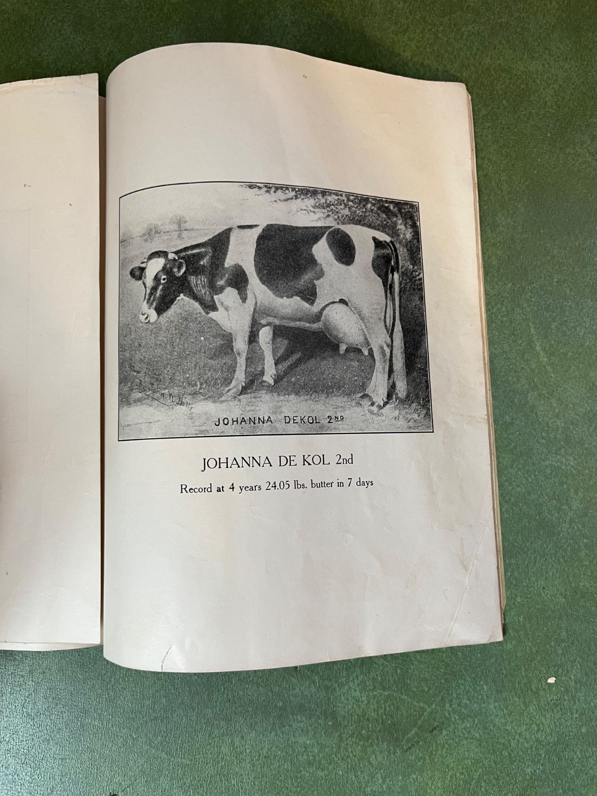 Original 1906 Holstein Friesian Cattle Auction Sales Catalog Pompton Plains NJ