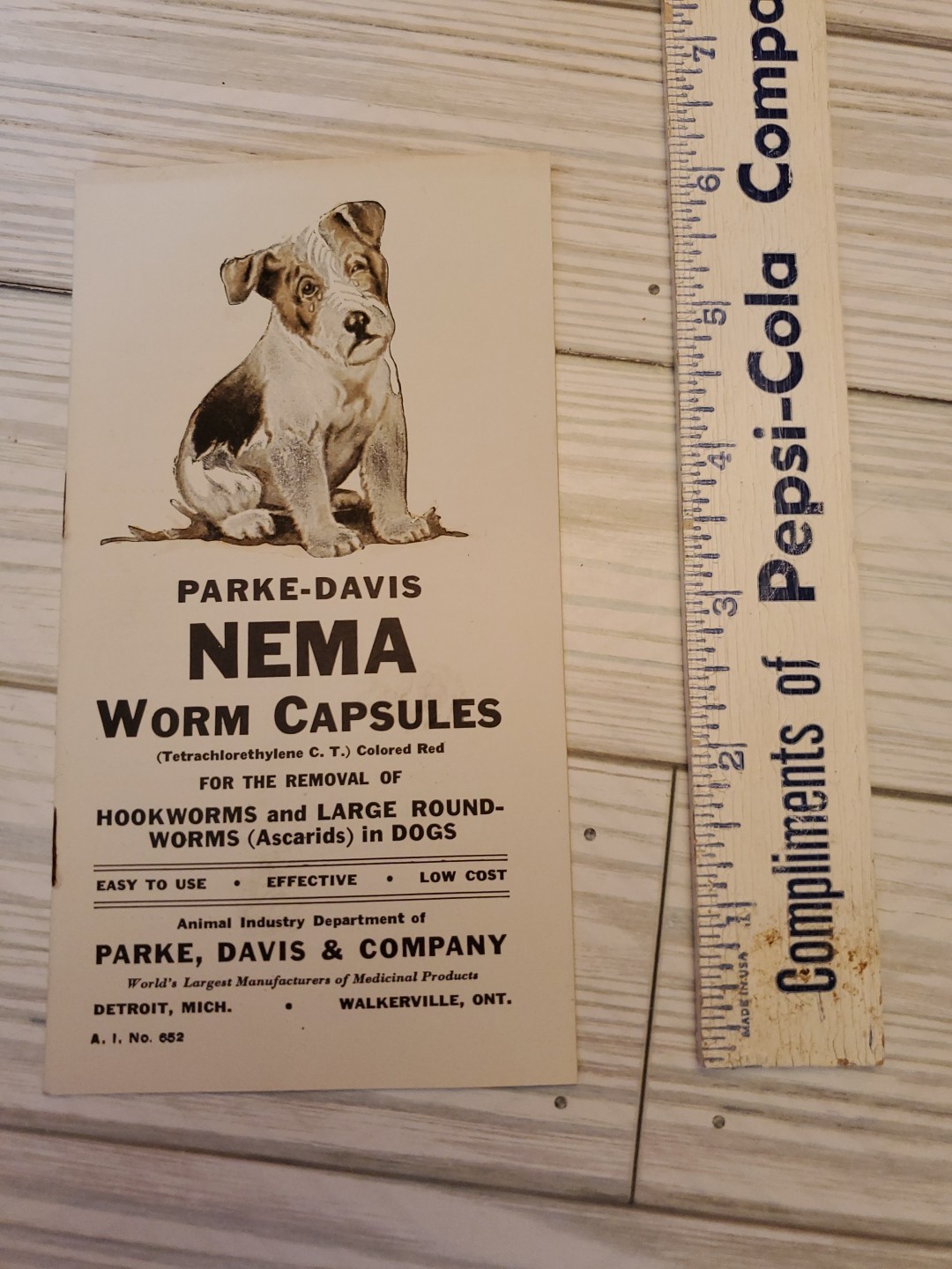 1927 NEMA Worm Capsules Prevention of Dog Diseases Parke Davis & Co. Brochure