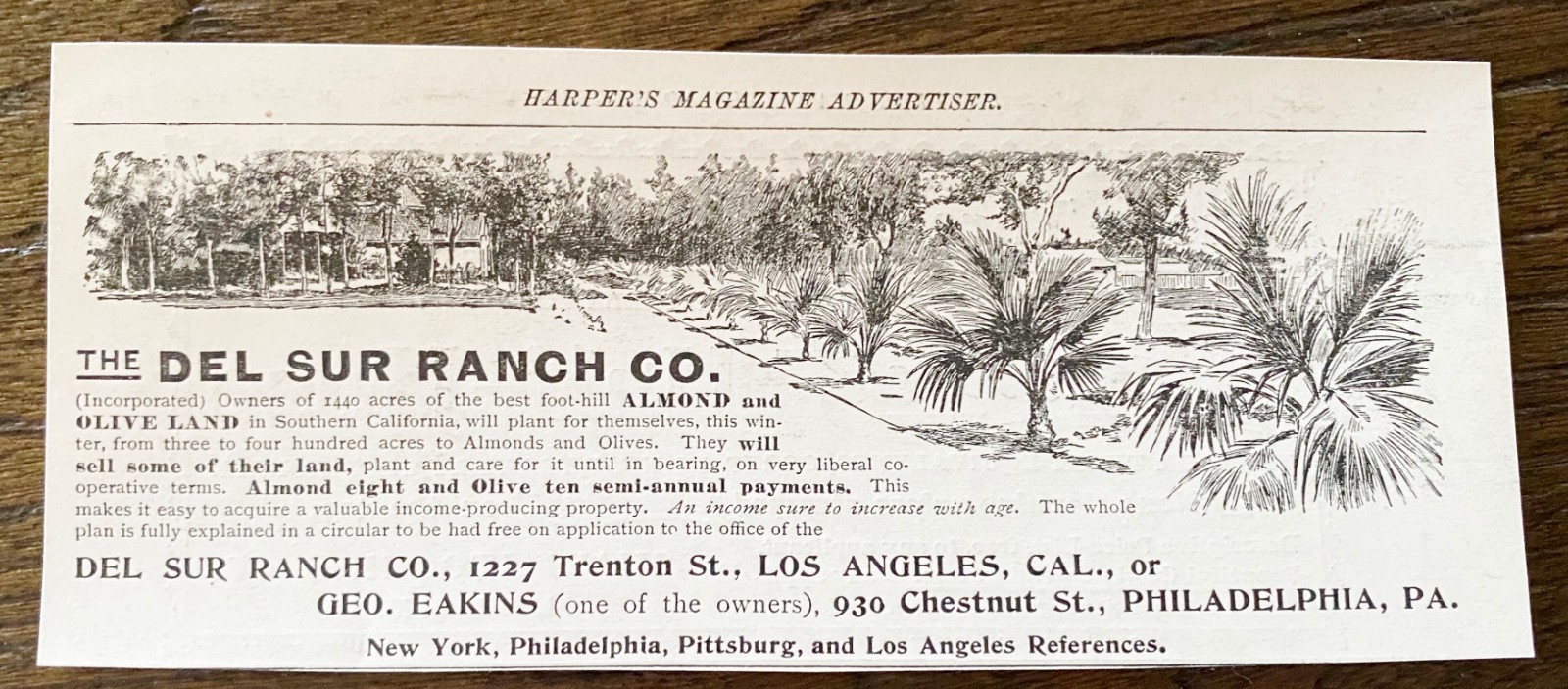 DEL SUR RANCH CO,S.CA Orchard Land Sales Offer by George Eakins PA 1896 Print Ad