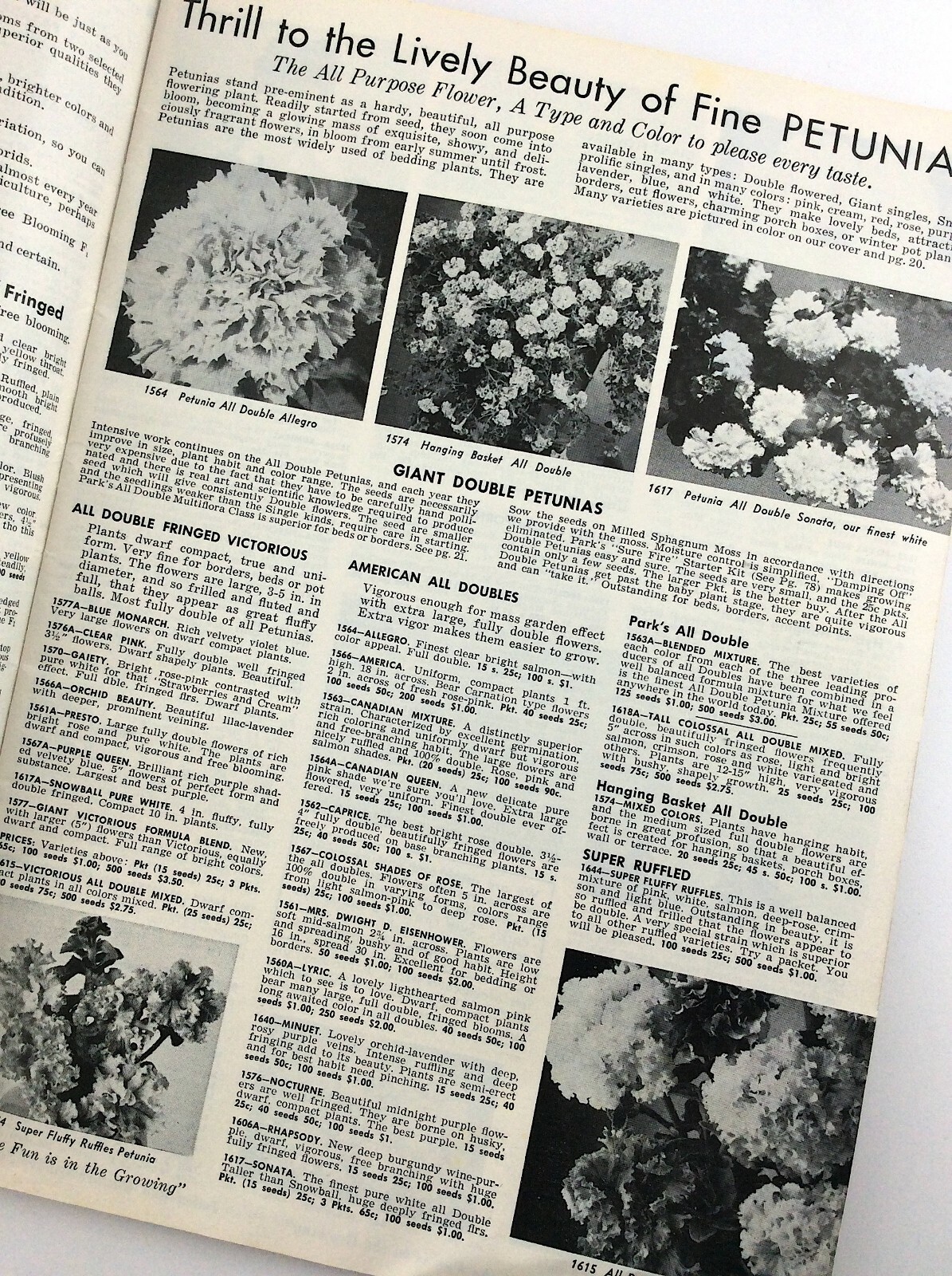 Parks Flower Book 1962 Greenwood South Carolina Garden Seed Catalog Q364