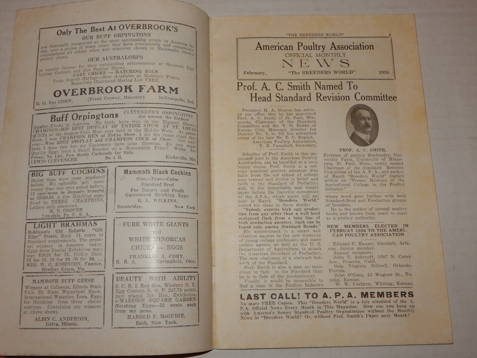 Vintage The Breeders World Magazine Booklet February 1936 Vol XI No 2