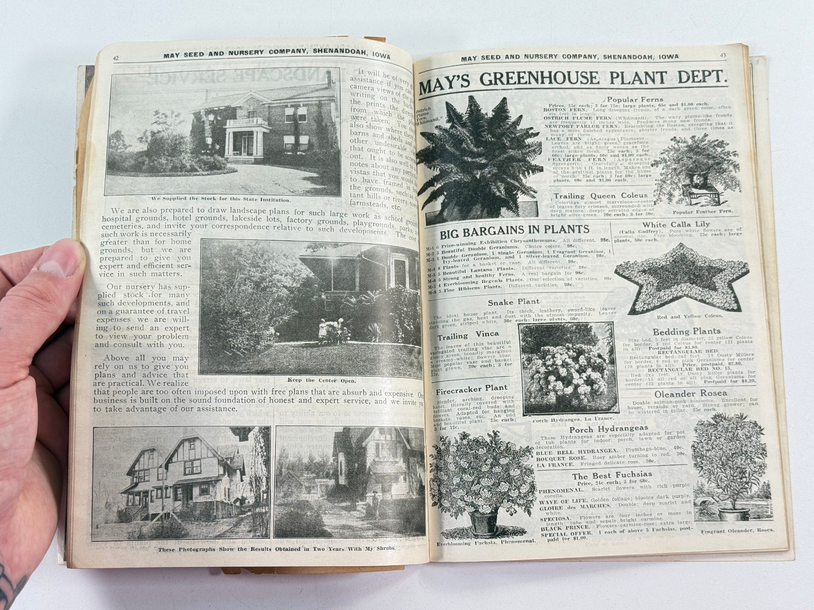 1924 May Seed Advertising Catalog Shenandoah Iowa IA