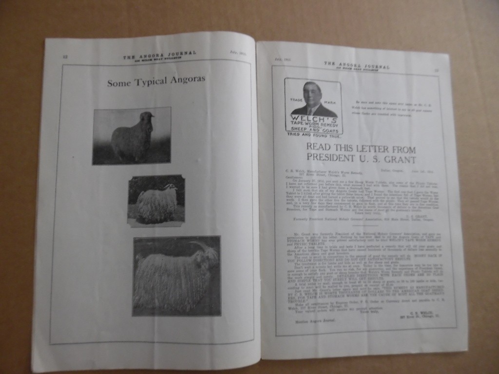 1915 Angora Goat Breeders Journal Mohair Milk Goats More Vintage Original RARE