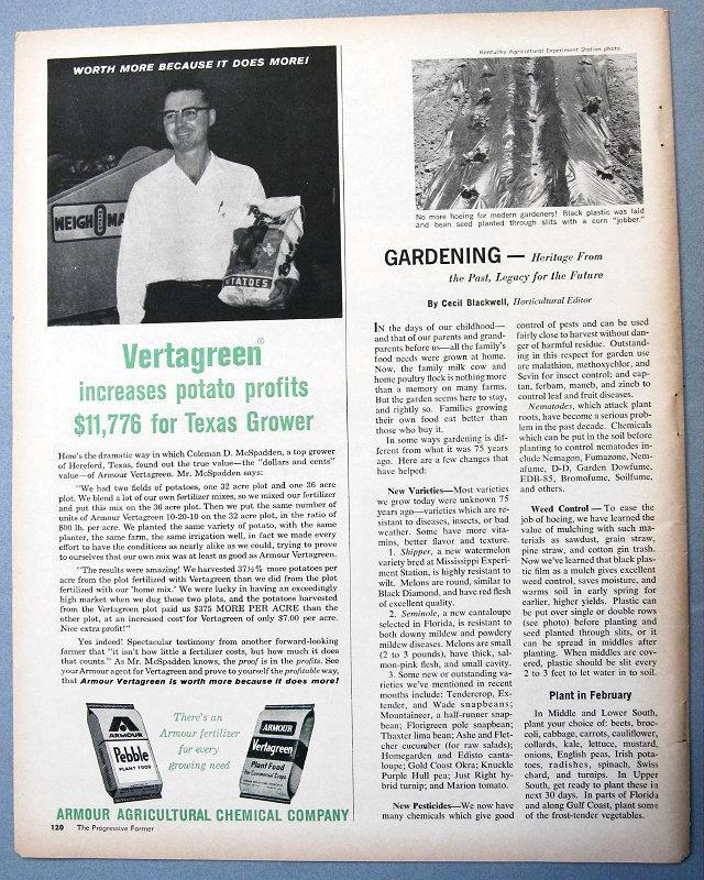 Original 1961 Fertilizer Photo Ad Featuring Coleman McSpadden, Hereford Texas