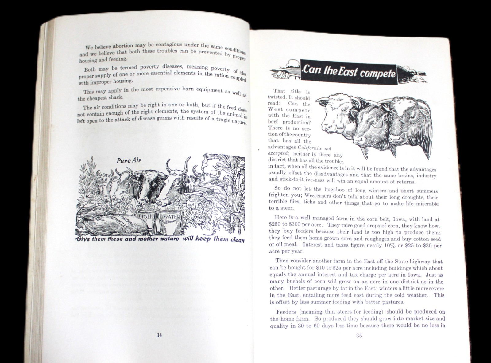 LIVESTOCK IN THE EAST BOOKLET BY THE PARK & POLLARD COMPANY BUFFALO NY 1924