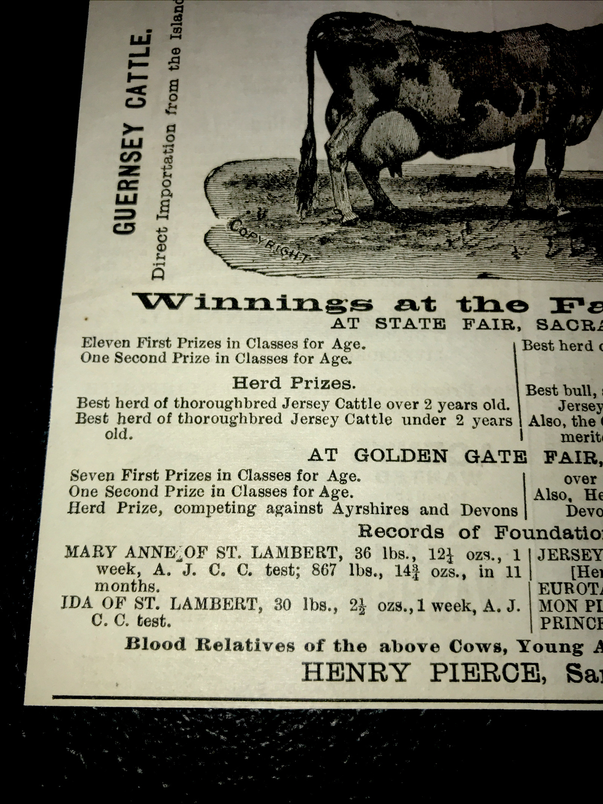 1886 Yerba Buena Jersey Cattle Cow Farm Advertising – San Francisco California