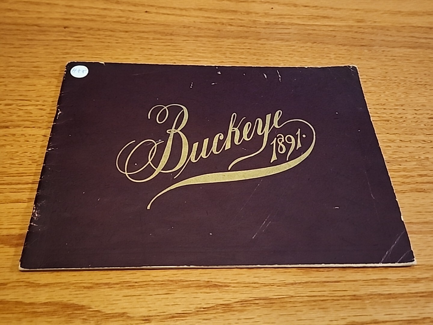 1891 Buckeye Harvesting Machines Aultman Miller Co Catalog Farm Implements
