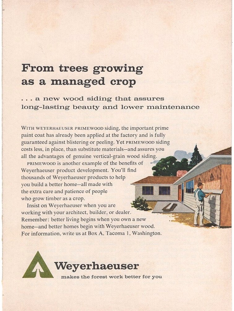 Weyerhaeuser Trees Growing As a Managed Crop 2 Pages 1962 Vintage Ad