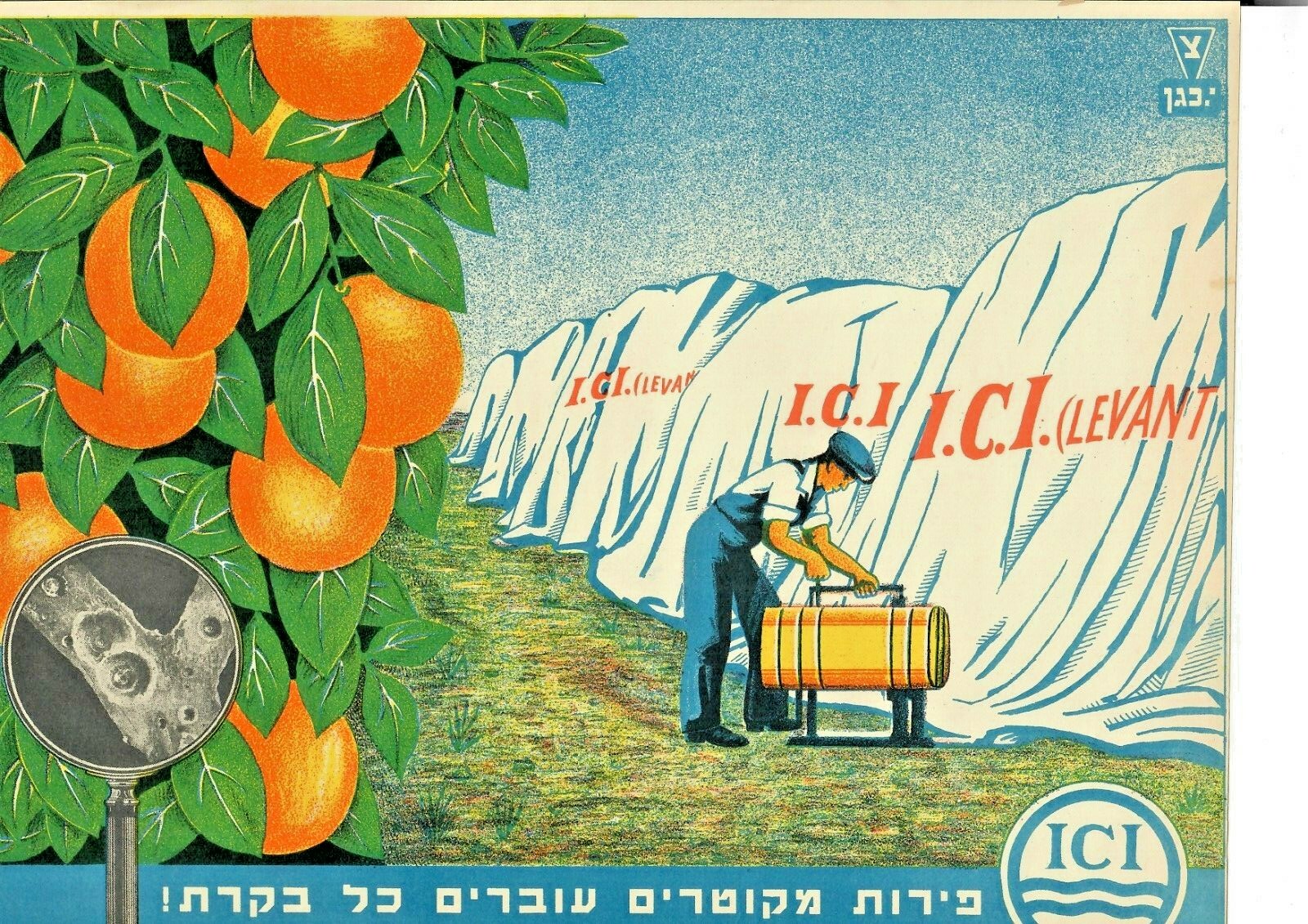 palestine jaffa orange judaica