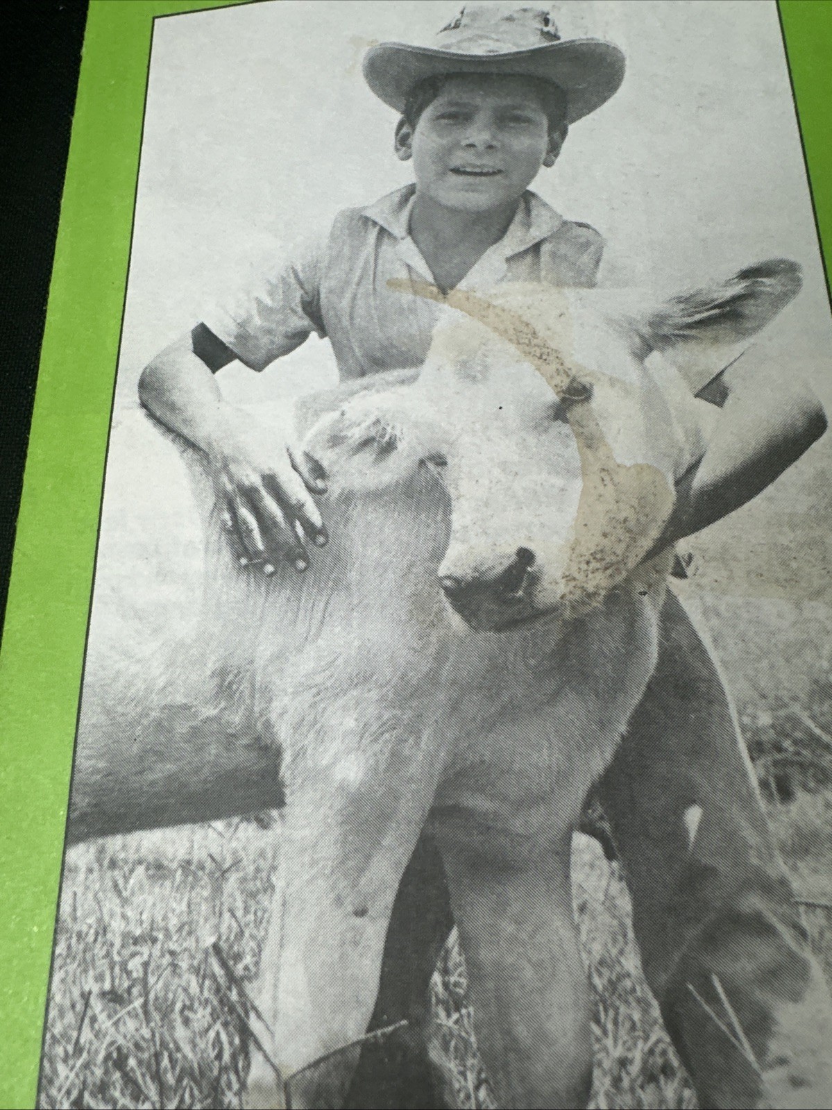 Vintage Heifer Project International Advertising Pamphlet Animals