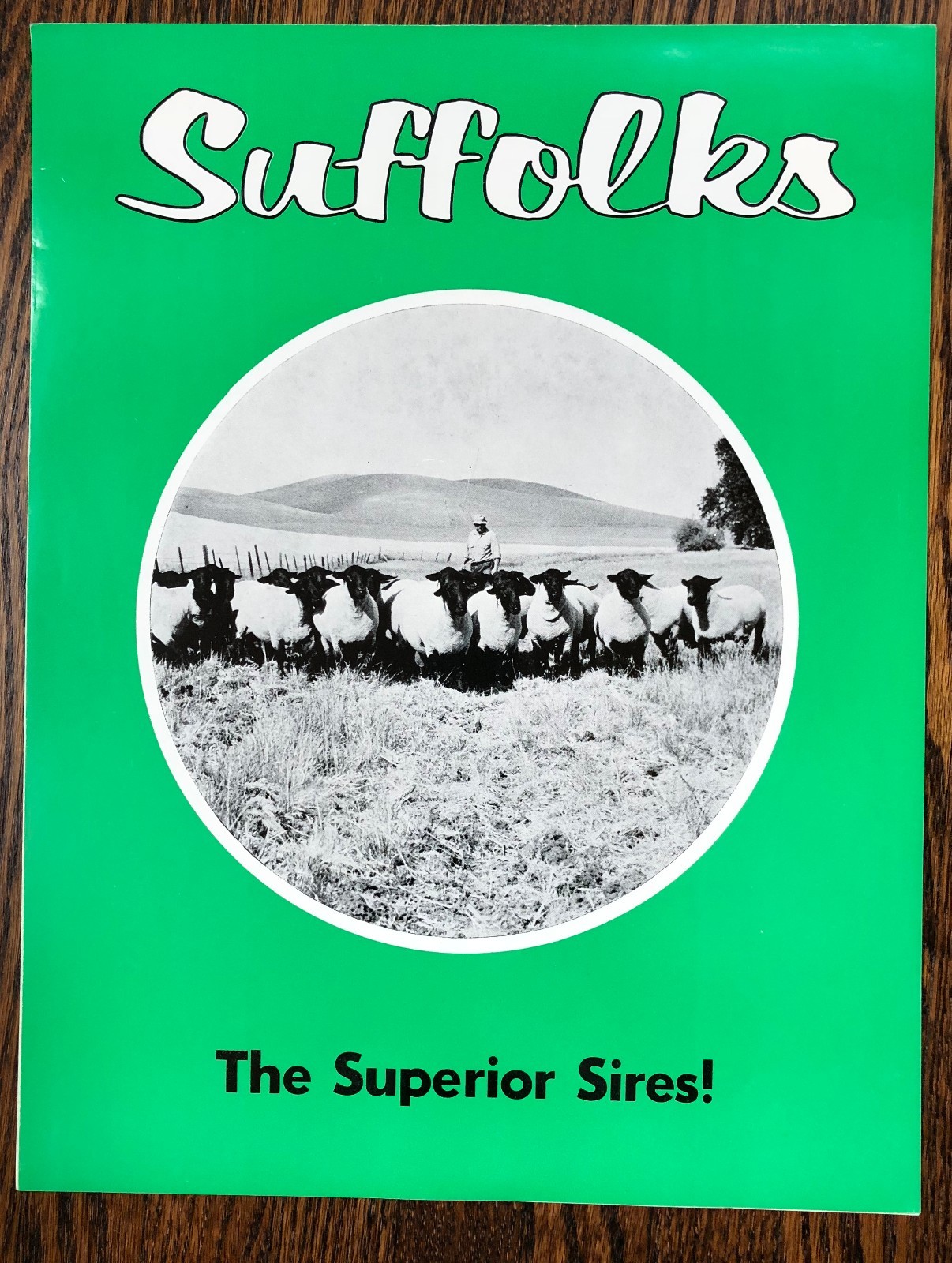 2 SUFFOLK SHEEP Superior SIRES Breed Farm Advertising 2Sided Paper SIGN Vintage