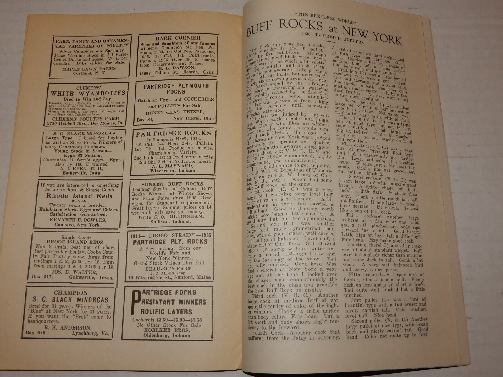 Vintage The Breeders World Magazine Booklet February 1936 Vol XI No 2