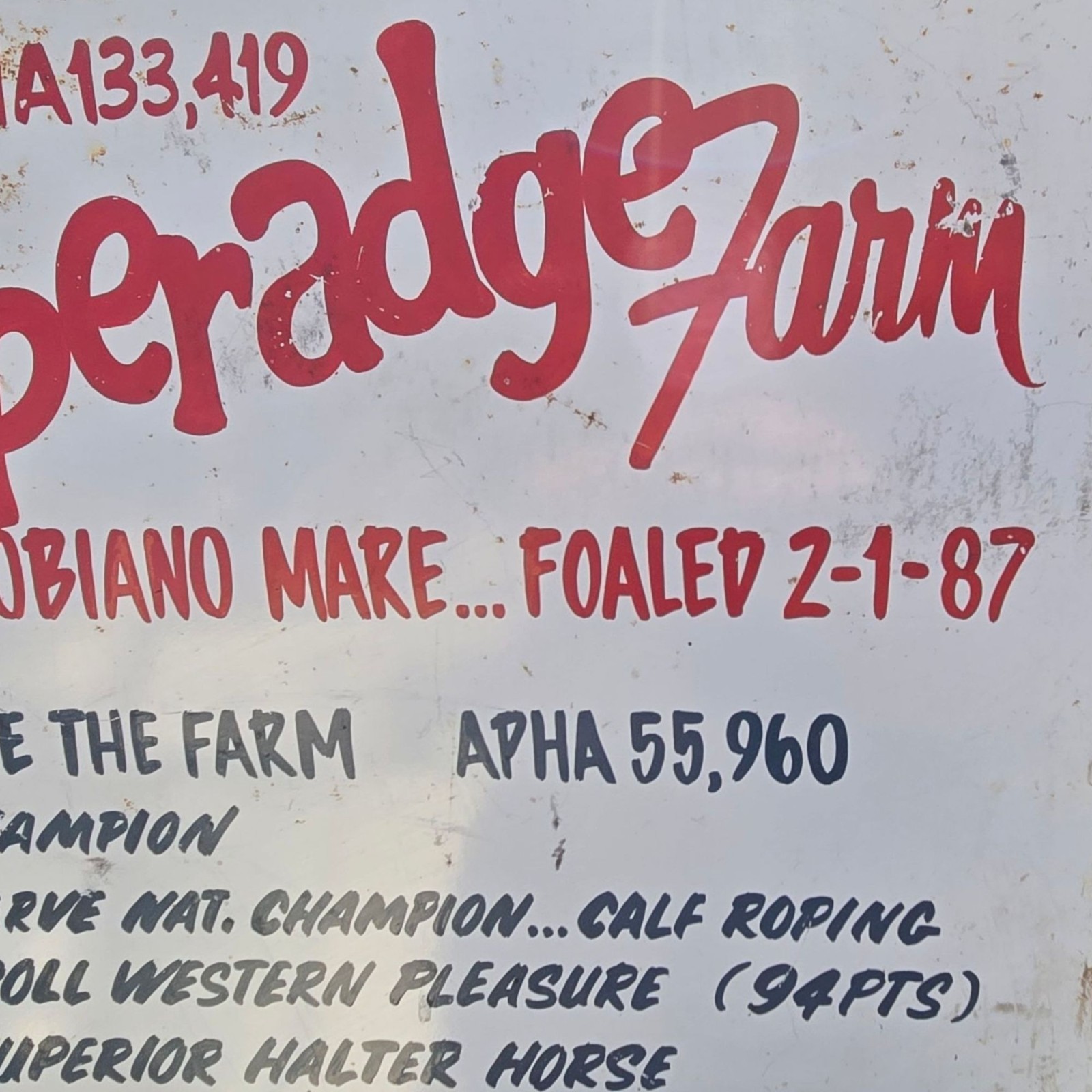 Vintage Paint Horse Farm Breeding Sign Metal 1987 APHA Champion Wichita Kansas