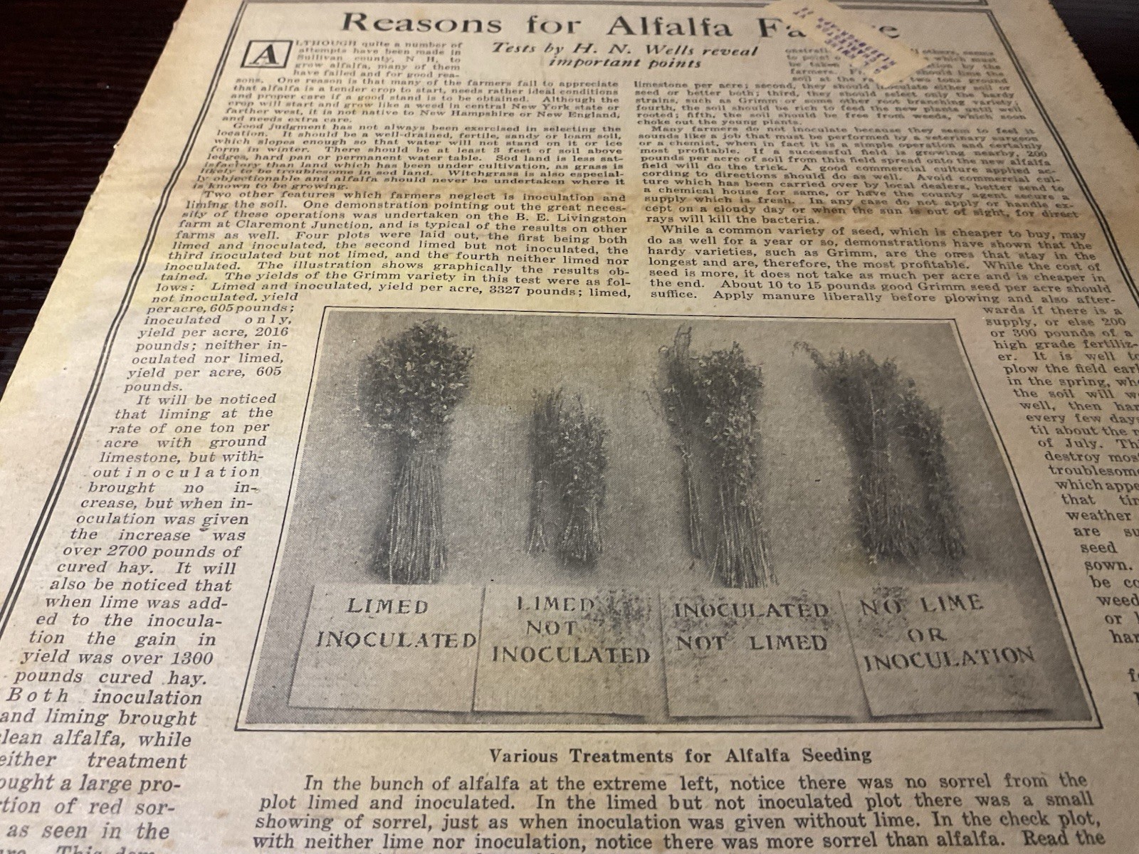 1919 New England Homestead Newspaper Growing Alfalfa Farm Ads Suitable For Frame