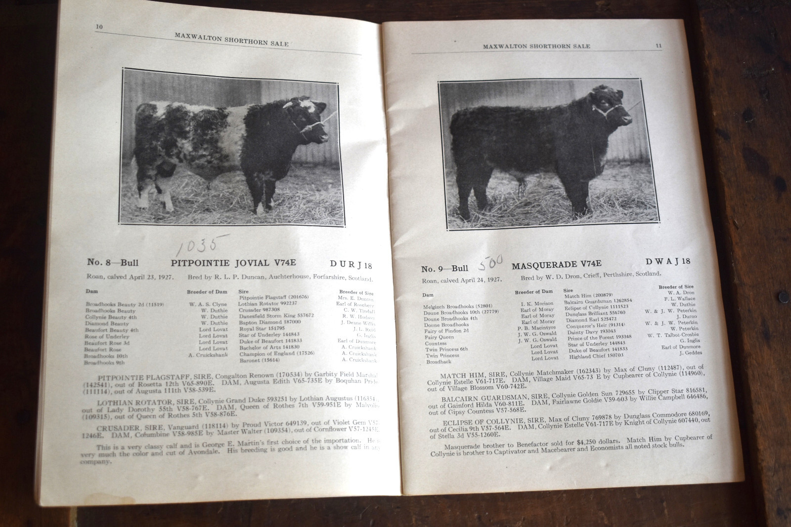 Vintage 1928 Shorthorn Cattle Auction Catalog Thompson Estate Fithian IL