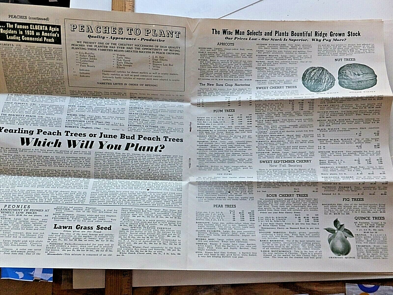 1938 Bountiful Ridge Nurseries, Princess Anne, MD. Complete Price List for Fall.