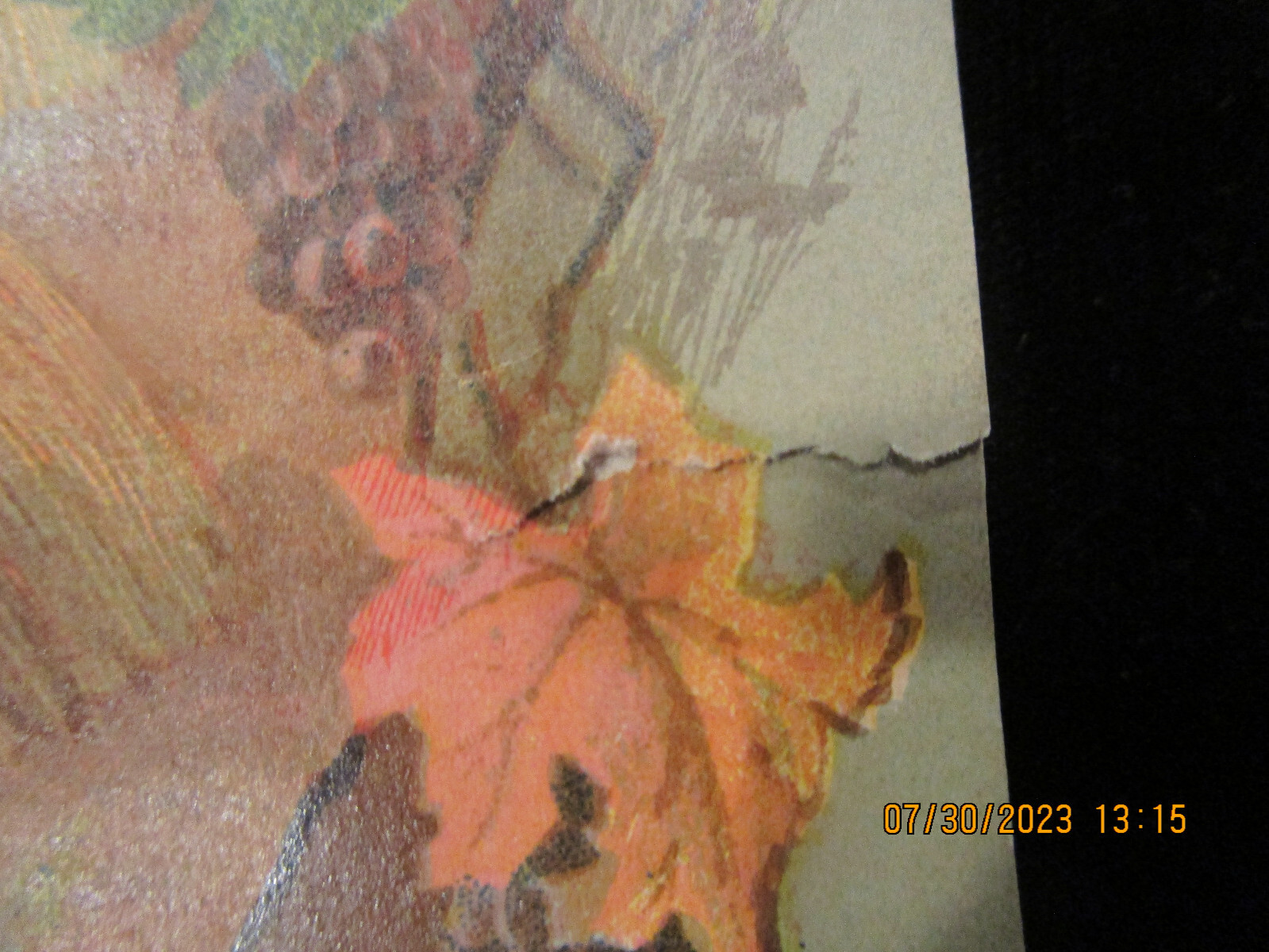 McCORMICK HARVESTING MACHINE CO. Chicago Advertising Trade Card c1880s Antique