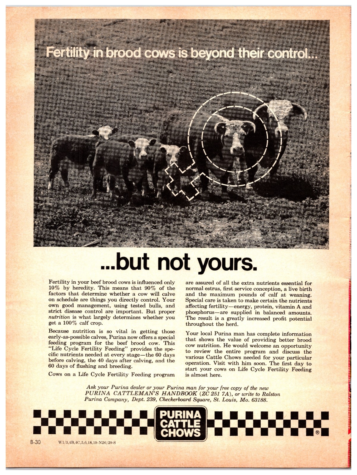 Vintage Purina Cattle Chows – Original Print Ad (8in x 11in) Advertisement