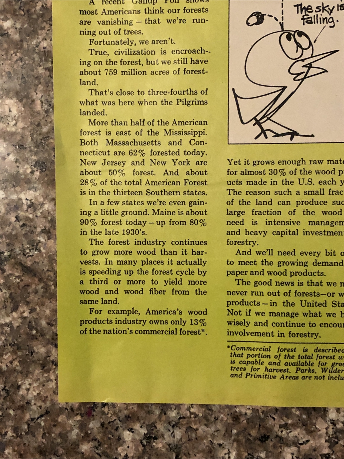 1974 American Forest Institute PRINT AD Run Out of Trees Myth VTG 70s Tree Farm