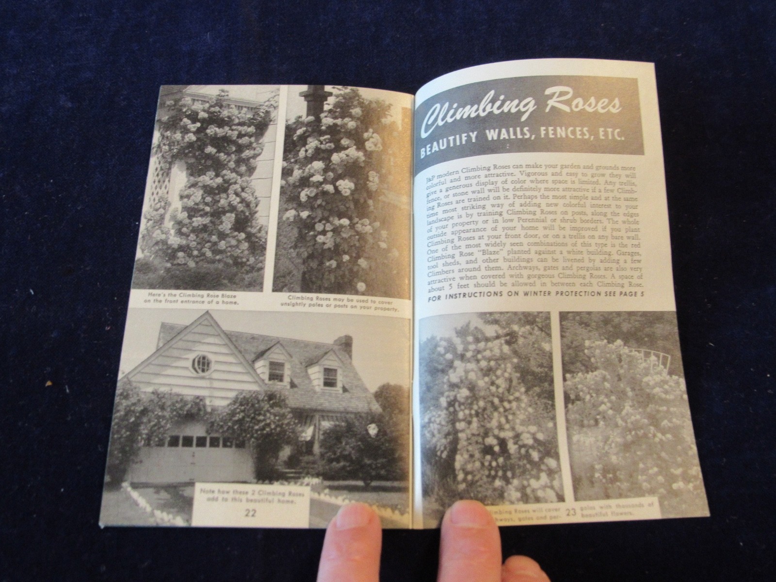 Vintage 1940-1950&rsquo;s Jackson & Perkins Rose Gardening Brochure B439