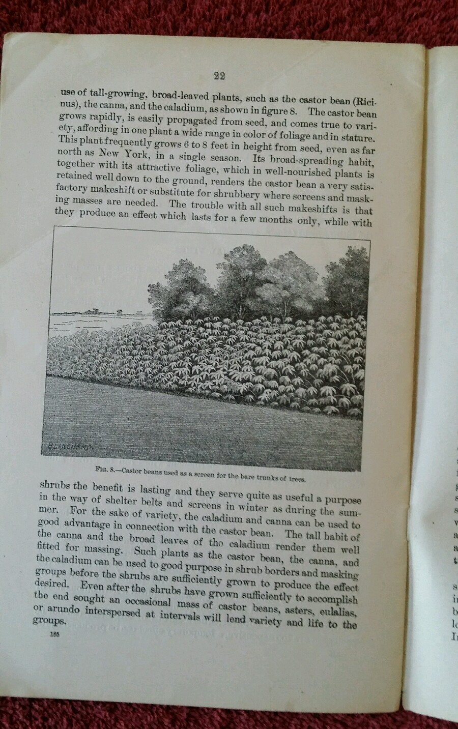 U.S. Department of Ag Vintage 1904 Farmers&rsquo; Bulletin #185 Beautify Home Grounds