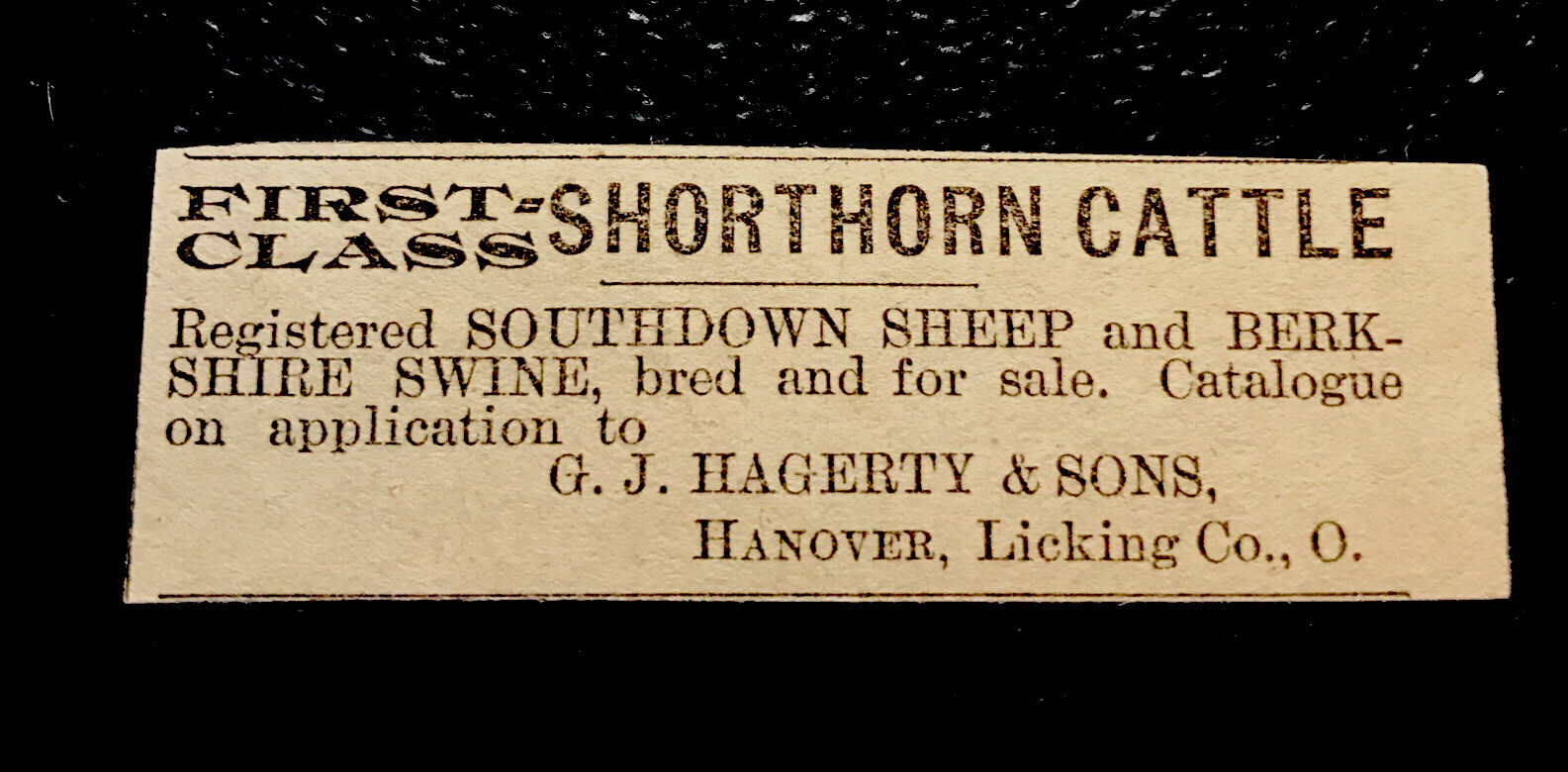 1886 Hagerty & Sons Cattle Cow Farm Advertising – Hanover – Ohio