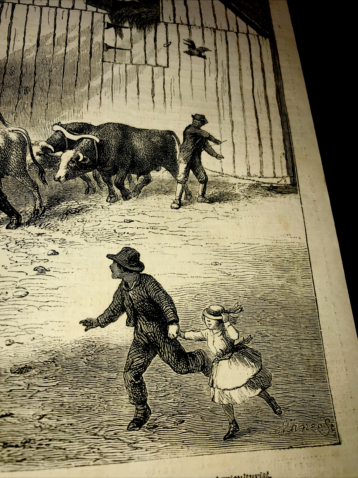 ORIGINAL 1873 Cattle Farm Barn Engraving Advertising