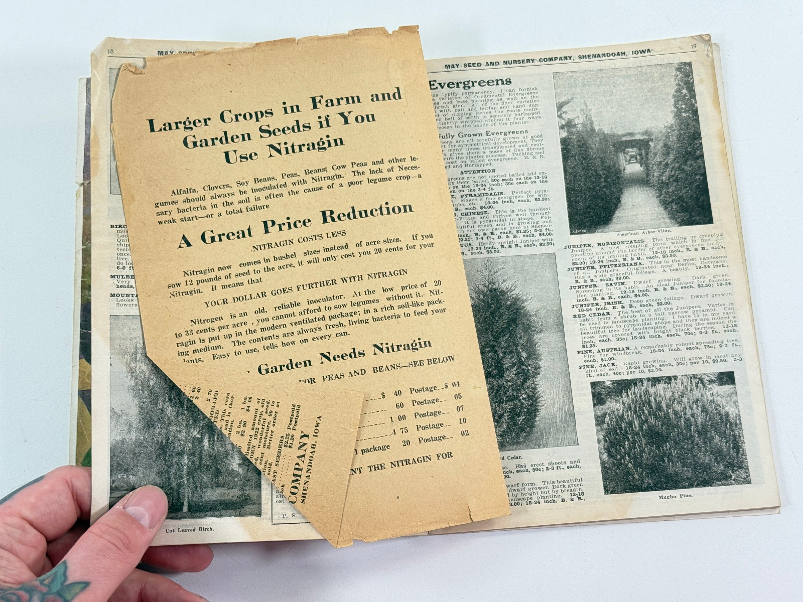 1924 May Seed Advertising Catalog Shenandoah Iowa IA