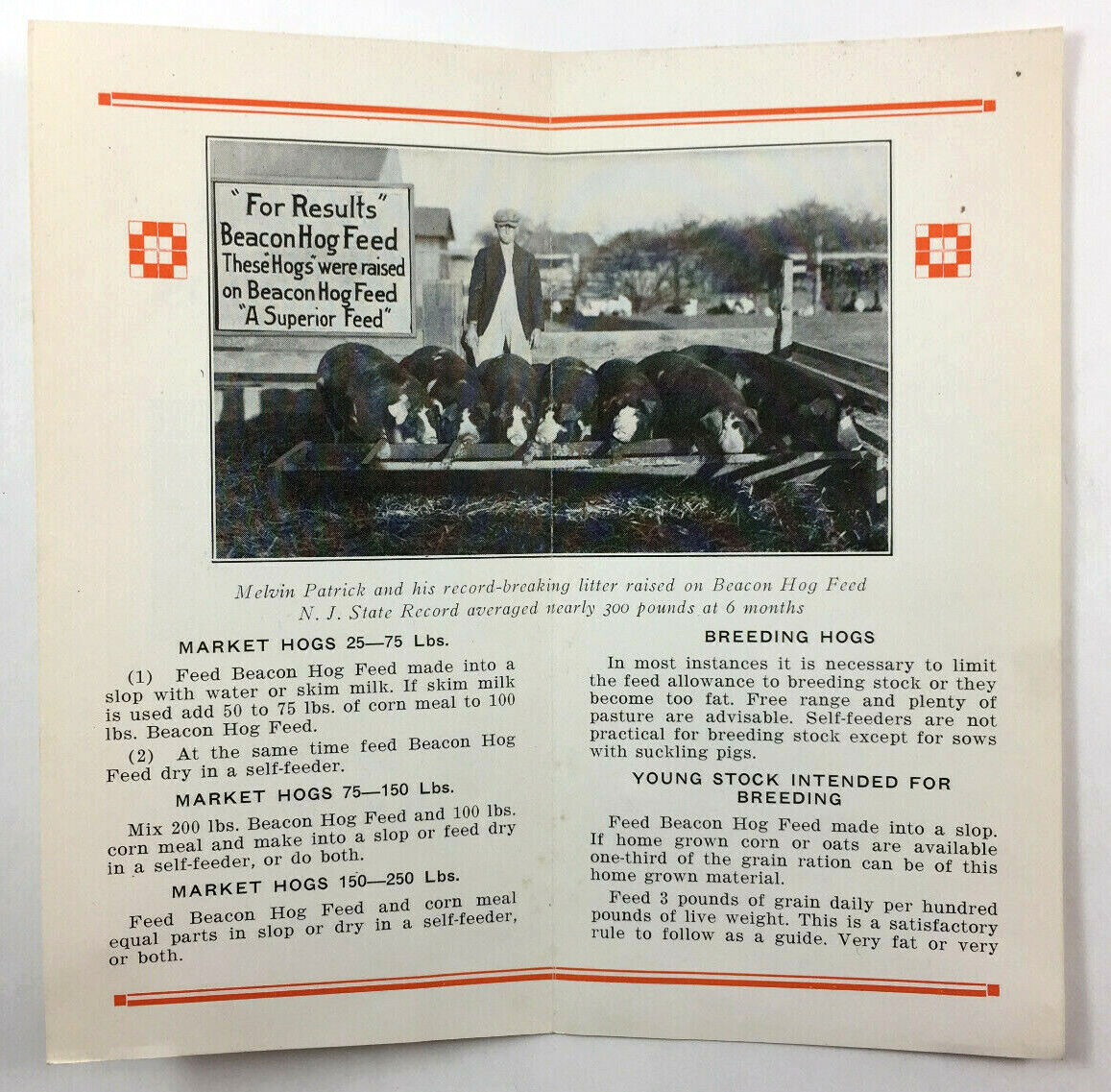Beacon Milling Co Hog Feed Brochures Cayuga New York 1930s