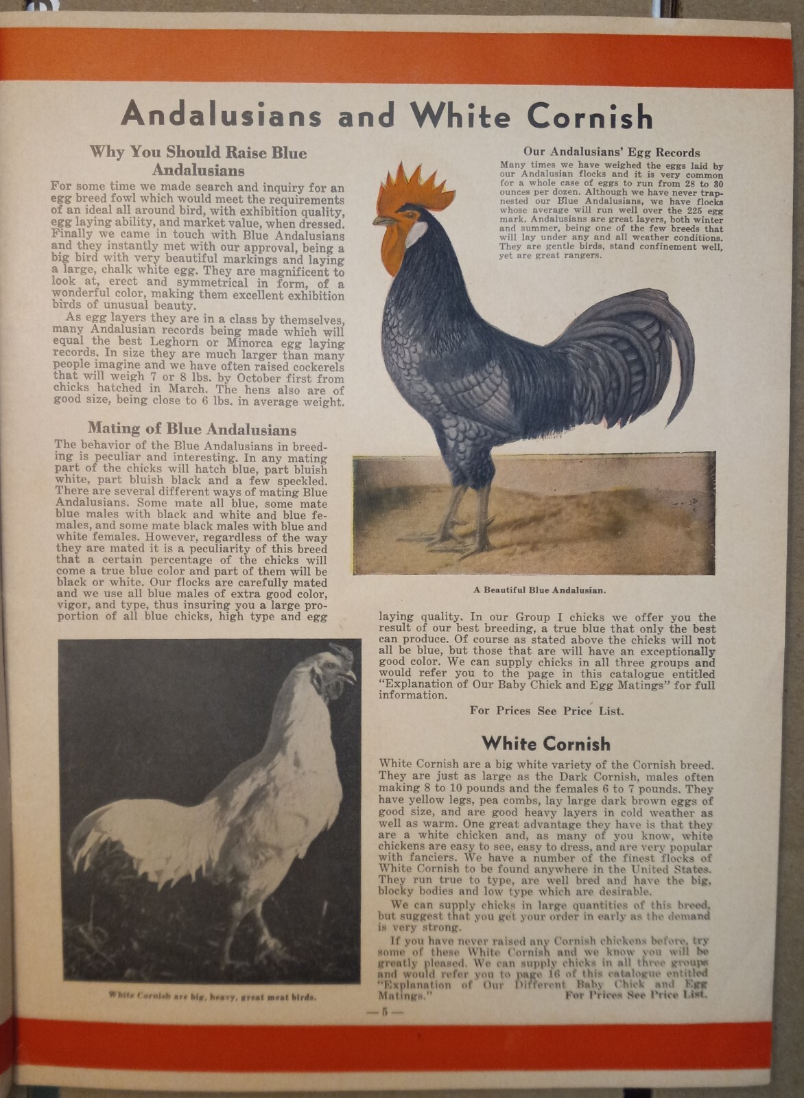 Vtg 1944 Murray McMurray Hatchery Webster City Ia Catalog Order Form Price List