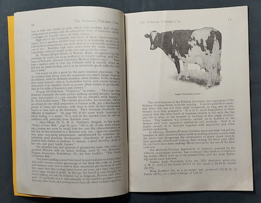 1913 Bulletin Holstein Friesian Association America Brattleboro Vermont Cow