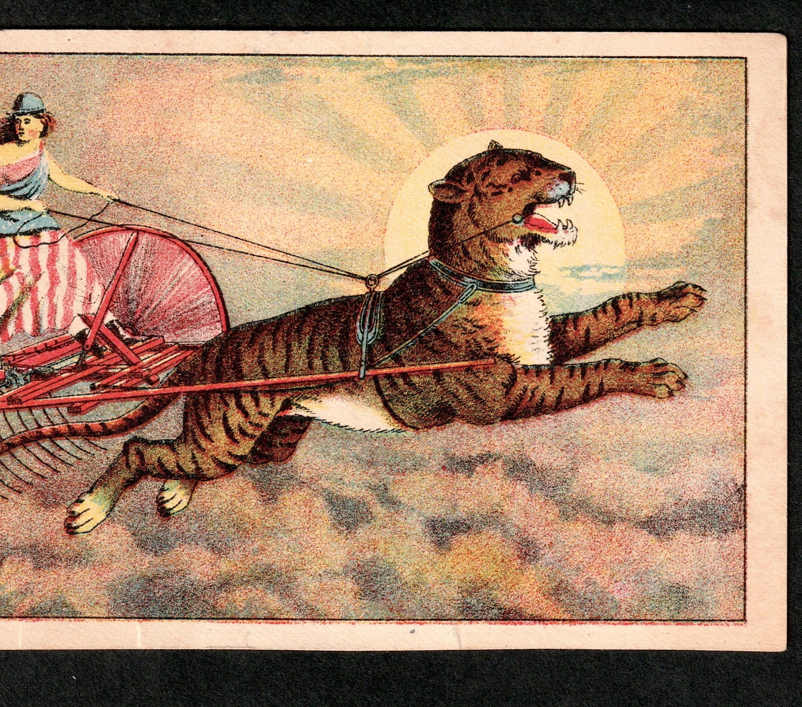 Columbia 1800s Patriotic Tiger Horse Rake Childs Farm Equipment Advertising j.US