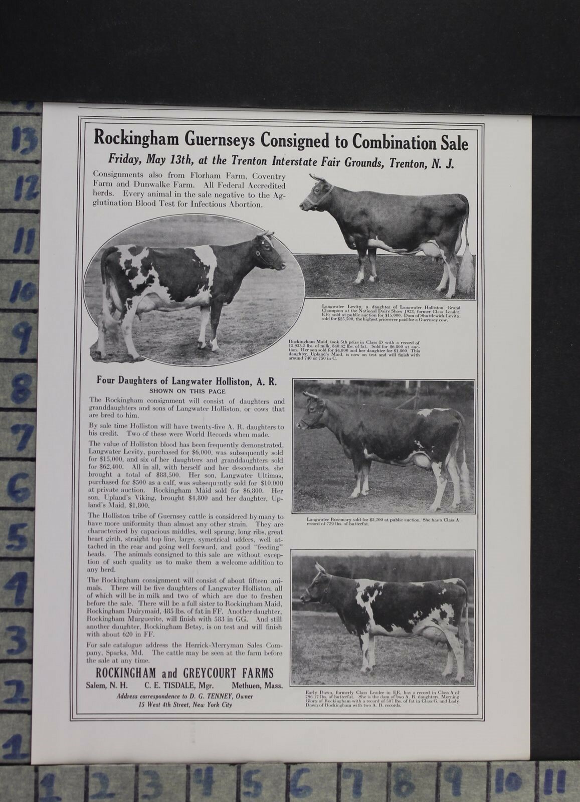 1927 ROCKINGHAM GREYCOART FARM COW AGRICULTURE GUERNSEY VINTAGE AD DJ68