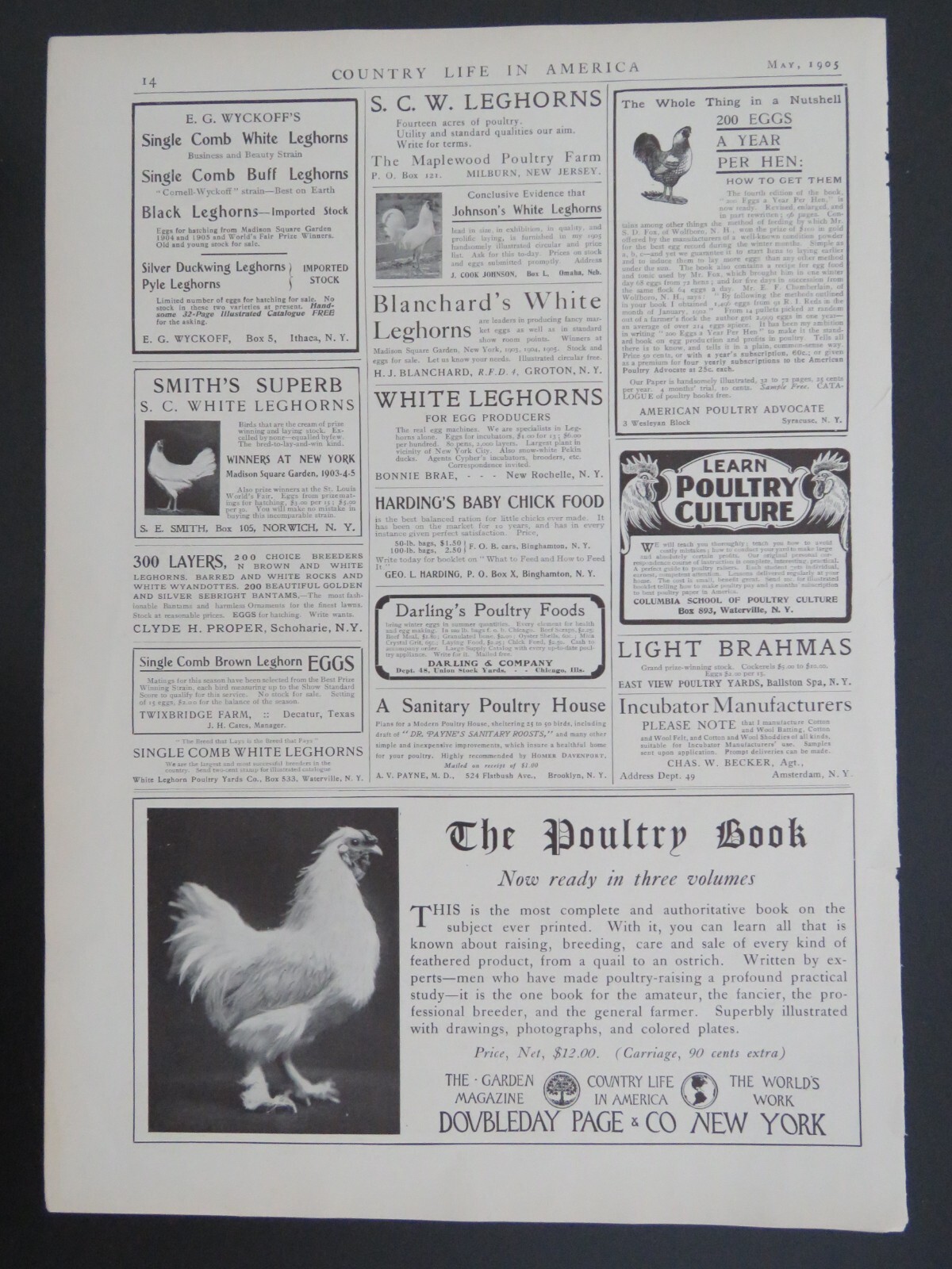 1905 B&W 9×13 Lithograph Chicken Poultry Hatchery Advertisements double-sided