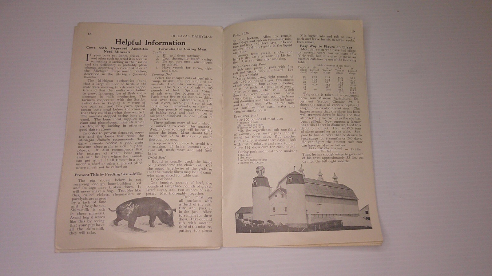 Delayal Dairyman Brochure No. 4 1926 agent Charles Fehr Spring Valley Ill. 8D