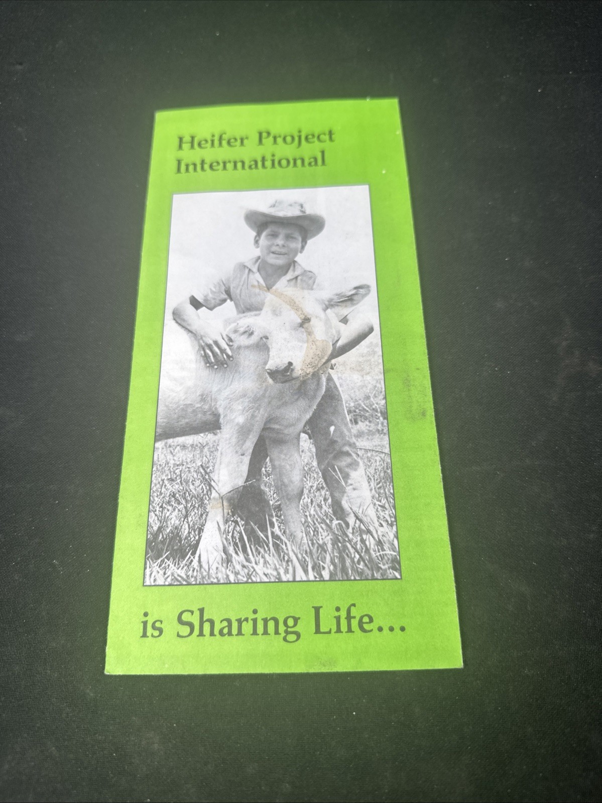 Vintage Heifer Project International Advertising Pamphlet Animals